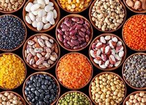 SWISS GLOBAL TRADING LIMITED
