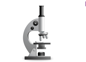 SWISS GLOBAL TRADING LIMITED
